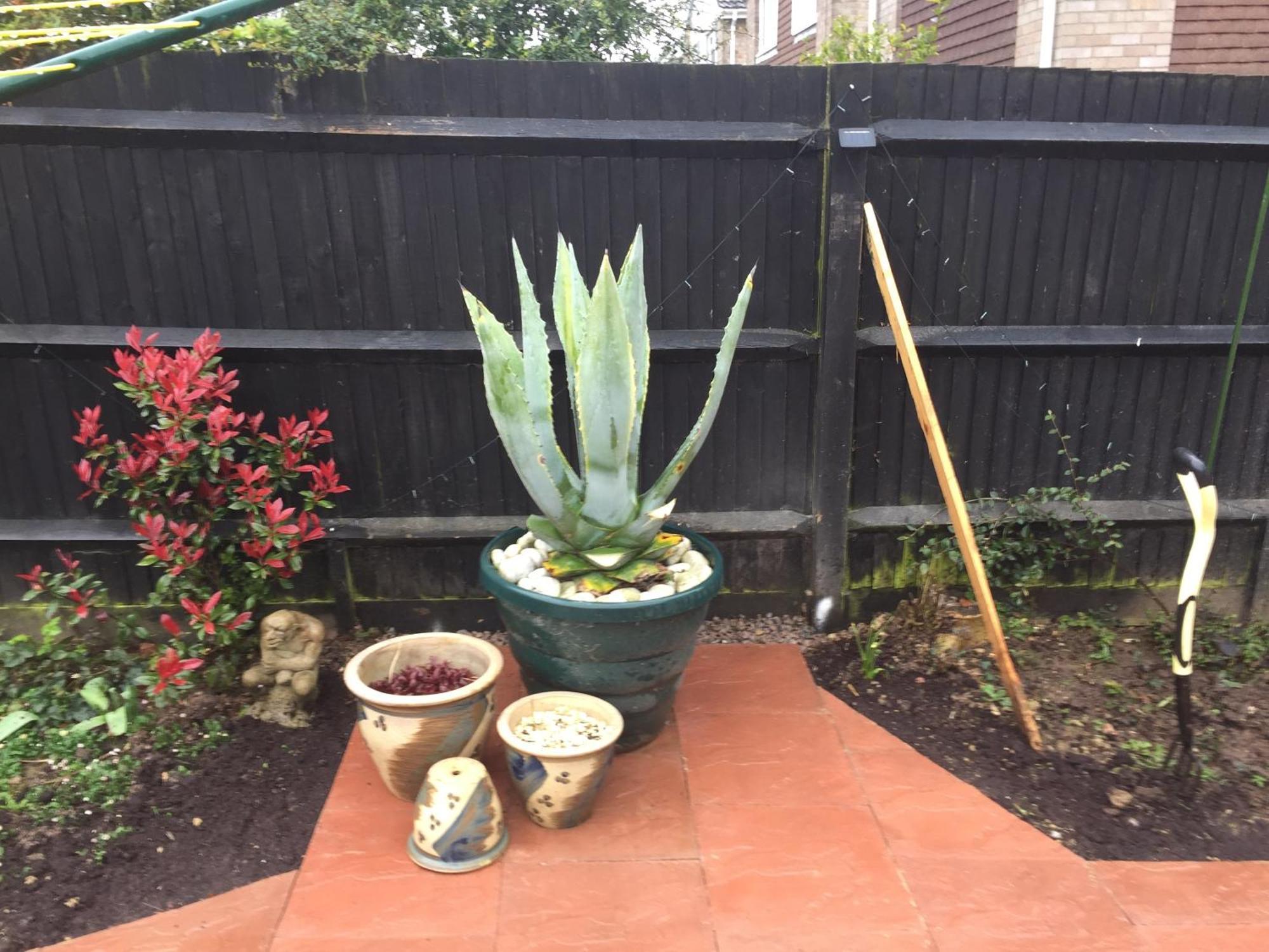 Basingstoke En Suite Room In Garden Annex מראה חיצוני תמונה